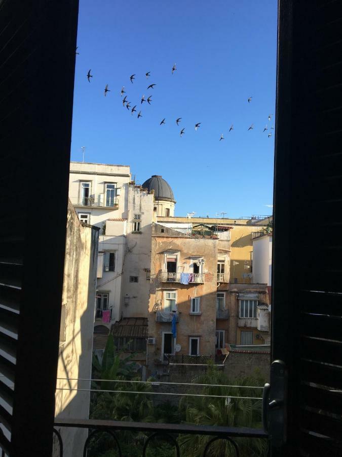 Le Rondini Della Pietrasanta Appartement Napels Buitenkant foto